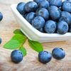 TFA Blueberry wild Concentrate