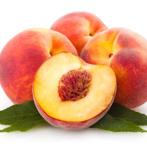TFA Nectarine Flavour Concentrate