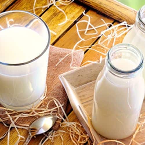 TFA Dairy/Milk Concentrate