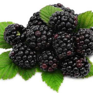 Blackberry - Alchemy Flavour Art DIY E-Liquid concentrate aroma flavourings.