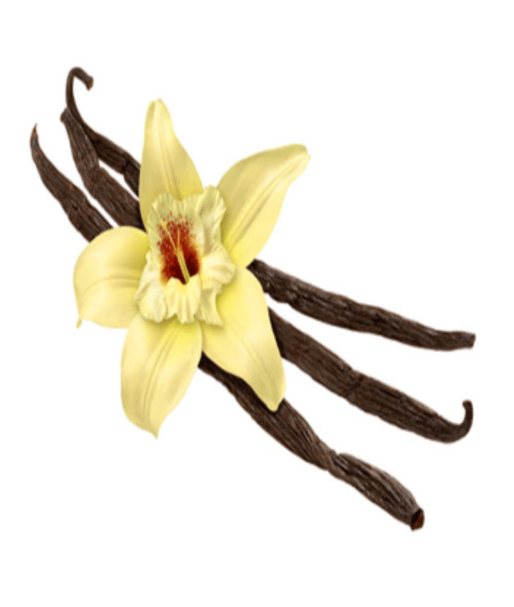 Vanilla Tahity - Alchemy Flavour Art E-Liquid concentrate aroma flavouring.