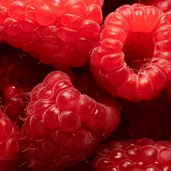 TFA Raspberry Ripe Flavour Concentrate